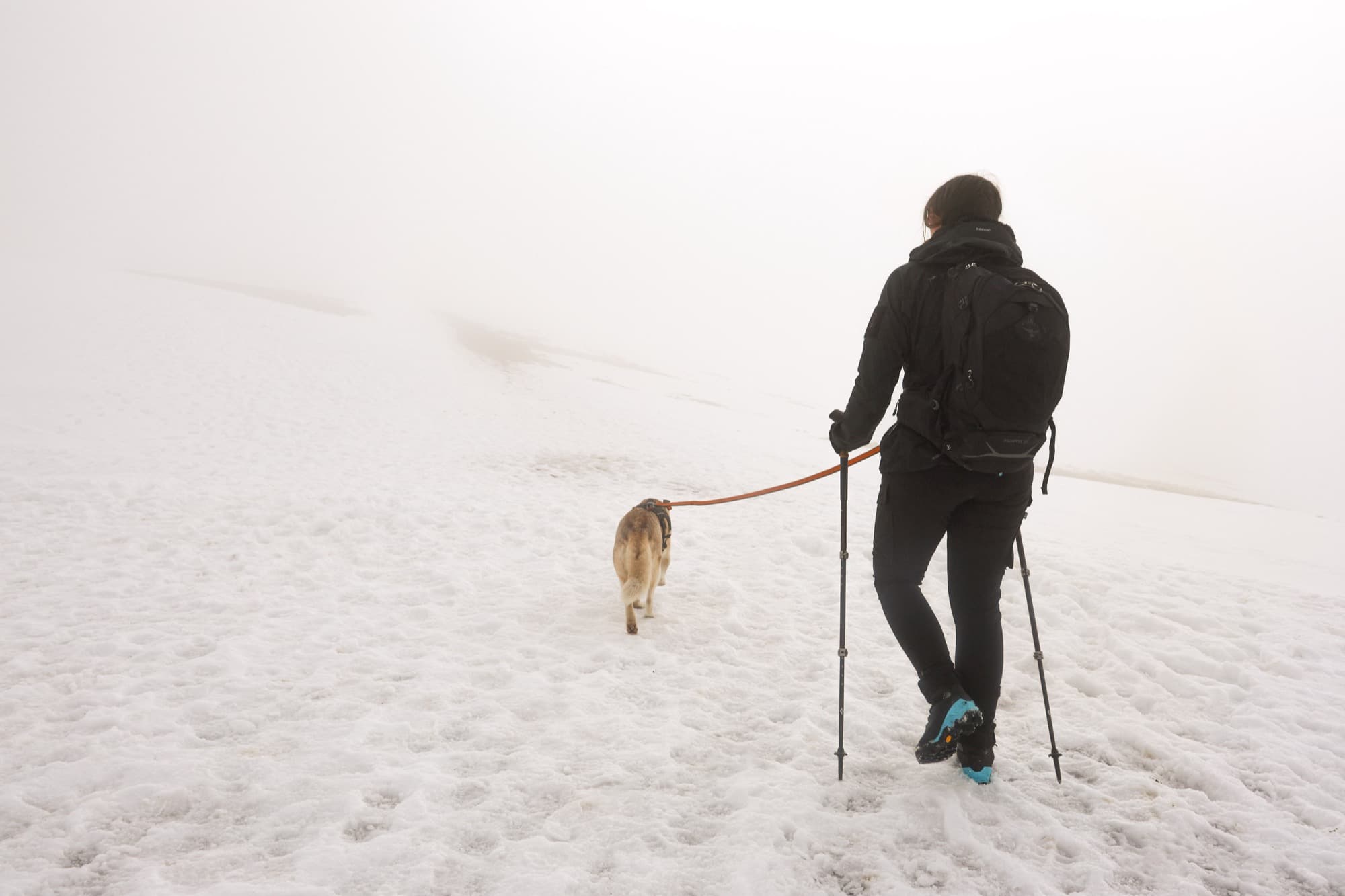 Robyn walking a dog across snow in low cloud