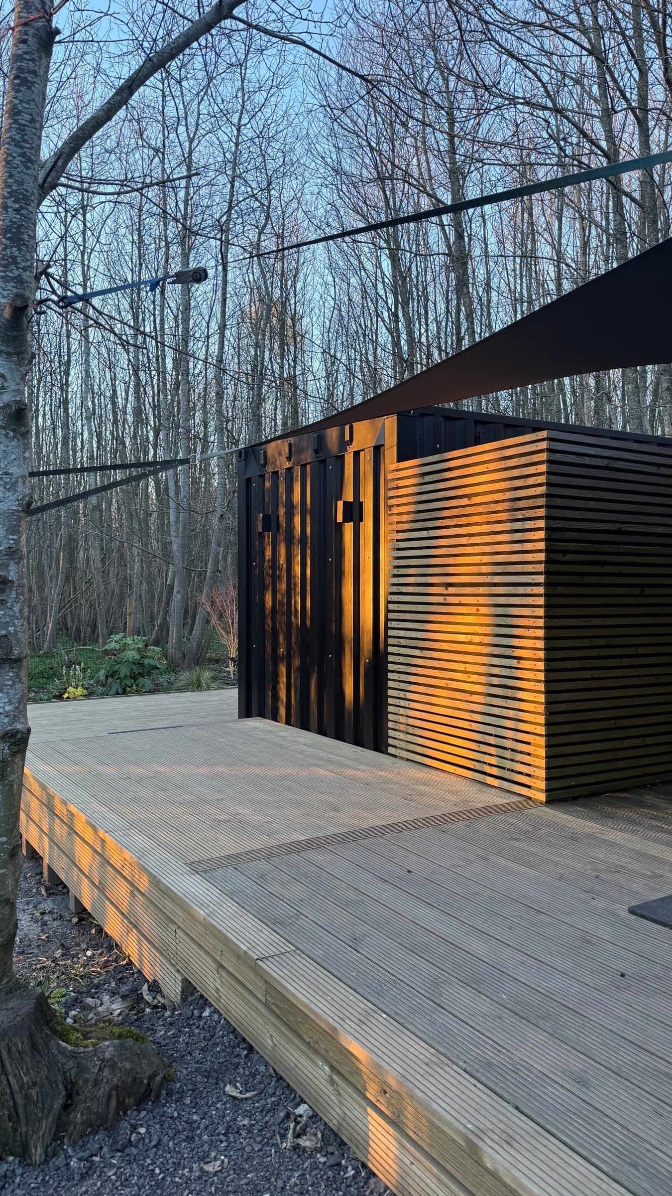 One of the two Yard Fitness container studios at dusk, clad in cedar and set among woodland